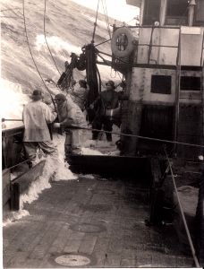 KR Trawler SmII 9 10 14 (228x300)